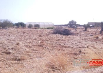 Rustico CONTRADA SERRA GIUMENTA, Scicli - foto 4