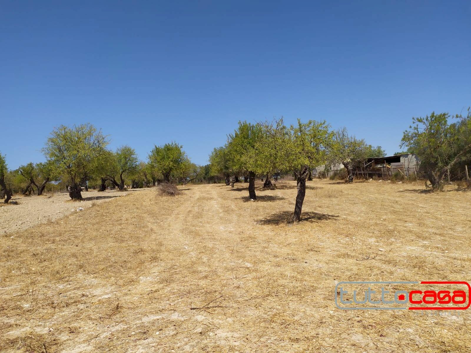 Agricultural land CONTRADA CATTETO, Scicli - photo 2