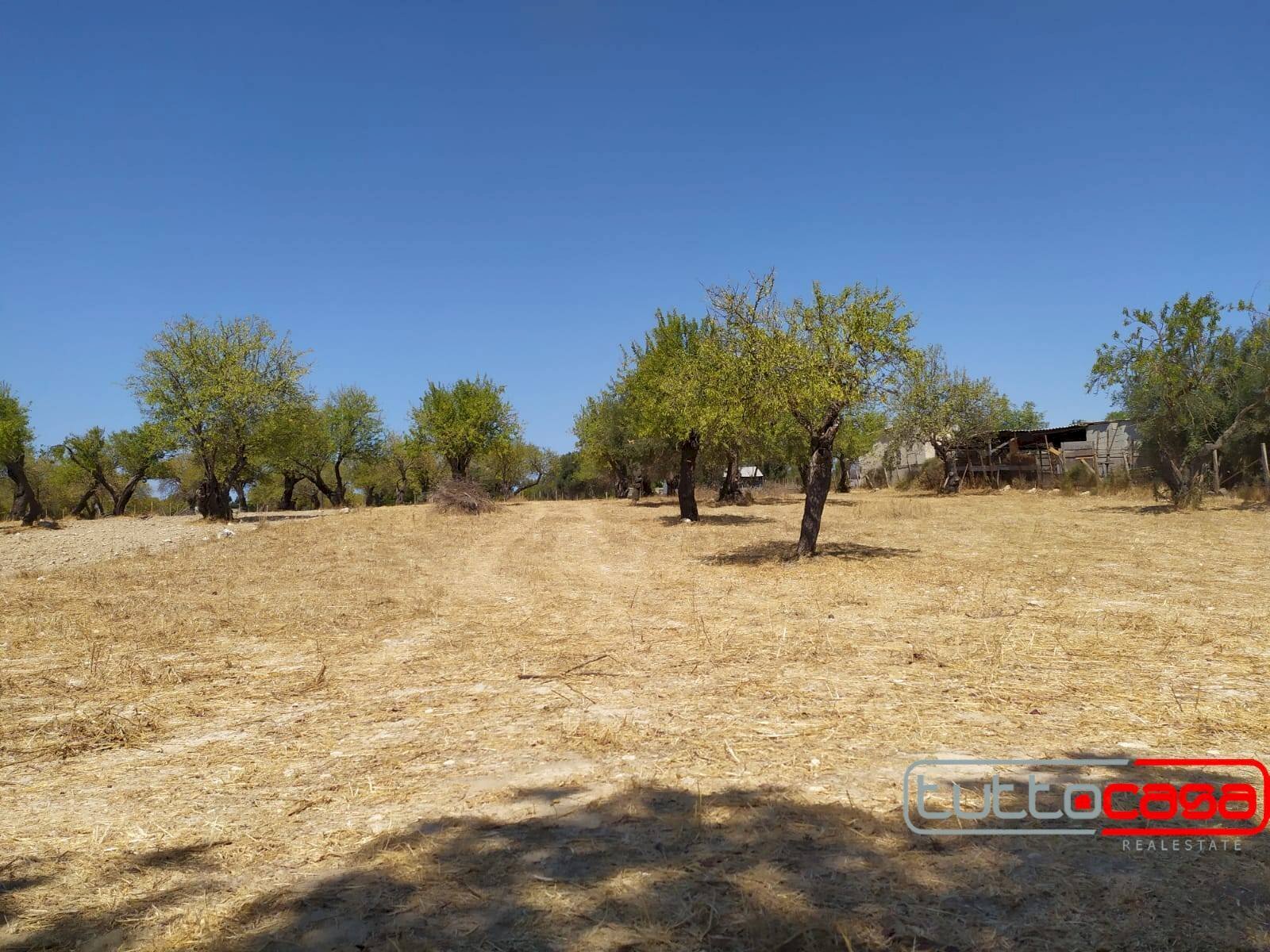 Agricultural land CONTRADA CATTETO, Scicli - photo 3