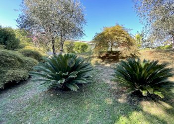 image_50439169.JPG - Villa Via Celso 38, Sarzana - foto 6