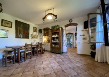 IMG_7217.JPG - Terratetto - Terracielo Via Forlì, Rosignano Marittimo - foto 13