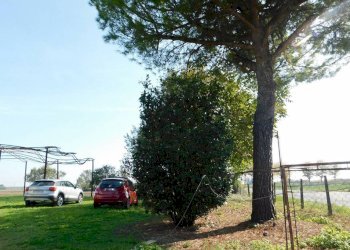 Rustico Cervia - foto 7