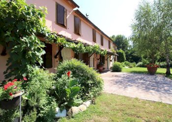 vendesi rustico con piscina e parco IMG_3873.JPG - Casale Via della Chiesa di Gragnano, Capannori - foto 4