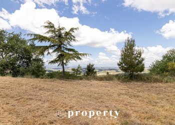 Rustico Contrada Castellano, Ripatransone - foto 14