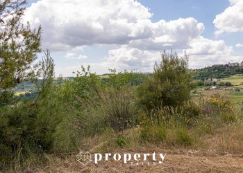 Rustico Contrada Castellano, Ripatransone - foto 25