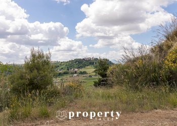 Rustico Contrada Castellano, Ripatransone - foto 26