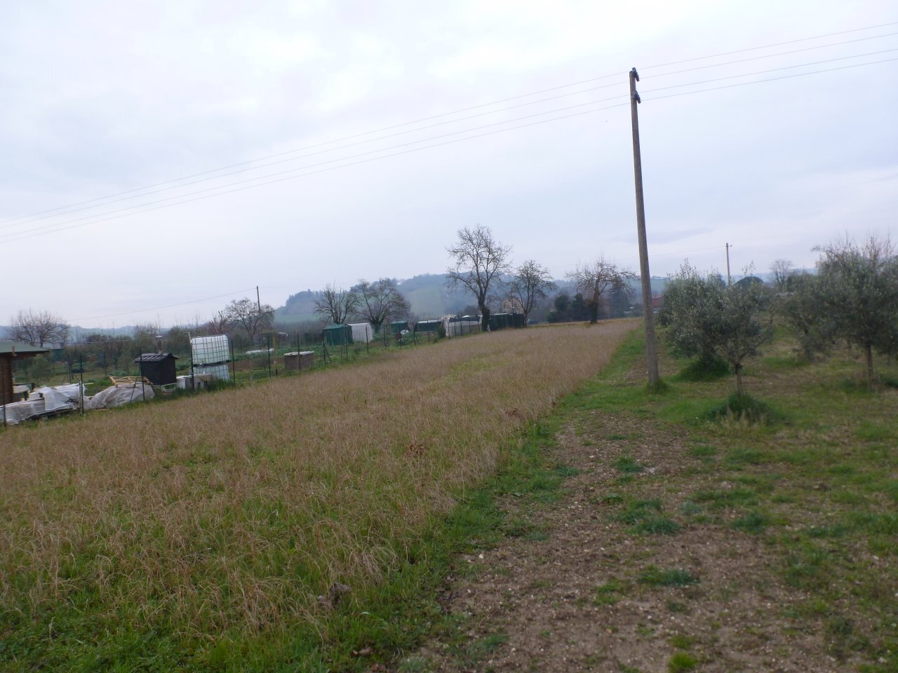P1020470.JPG - Agricultural land Via G. Marconi 168, Jesi - photo 1