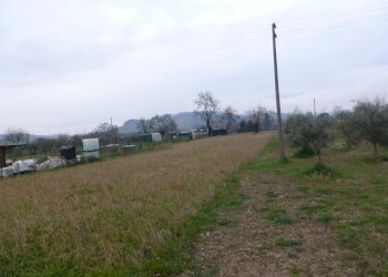 P1020470.JPG - Agricultural land Via G. Marconi 168, Jesi - photo 1