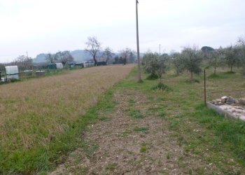 P1020471.JPG - Agricultural land Via G. Marconi 168, Jesi - photo 2