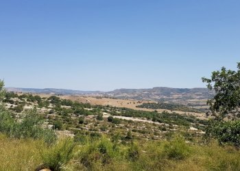 17.jpg - Rustico Ragusa - foto 13