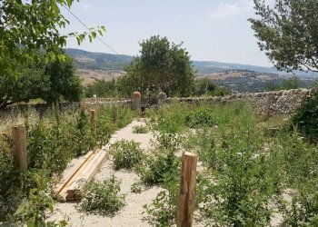 18.jpg - Rustico Ragusa - foto 14