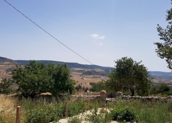 19.jpg - Rustico Ragusa - foto 15