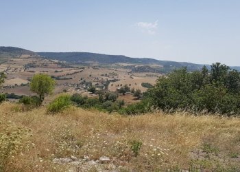 20.jpg - Rustico Ragusa - foto 16