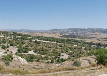 22.jpg - Rustico Ragusa - foto 18