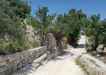23.jpg - Rustico Ragusa - foto 19