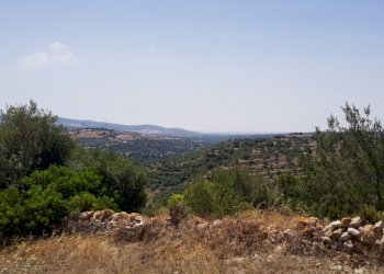 24.jpg - Rustico Ragusa - foto 20