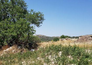 25.jpg - Rustico Ragusa - foto 21