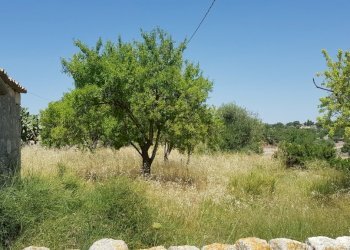 27.jpg - Rustico Ragusa - foto 23