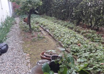 Apartment Carducci, Cassano Magnago - photo 4