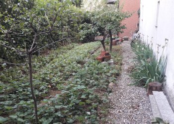 Apartment Carducci, Cassano Magnago - photo 5