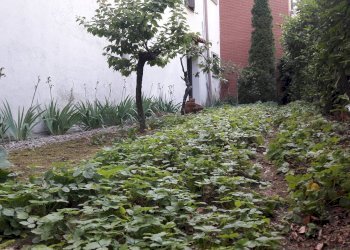 Apartment Carducci, Cassano Magnago - photo 6