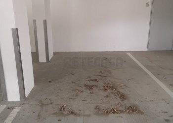 IMG_20210914_155225.jpg - Bilocale Via Francesca, Santa Maria a Monte - foto 15