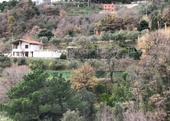 casa_indipendente-in-vendita-a-sarzana.jpg - Villa Via Prulla 27, Sarzana - foto 3