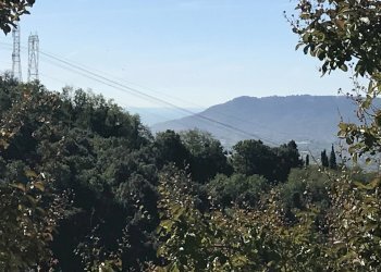 IMG_3141[1].jpg - Villa Via Prulla 27, Sarzana - foto 7