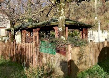 2990637969d40520abfeaecbb0a37178.jpg - Villa Via Prulla 27, Sarzana - foto 11