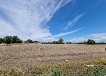 Cascina strada Cascinassa, 13, frazione Campagna, Crescentino - foto 14