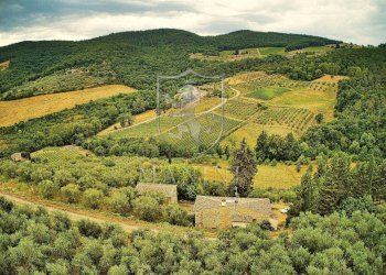 Rustic san cresci, Greve in Chianti - photo 12