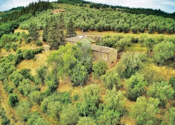 Rustic san cresci, Greve in Chianti - photo 17