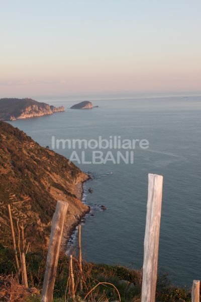 MA91_vendita_casa_rustico_cinqueterre_liguria_mare - Rustic Riomaggiore - photo 2