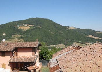 Rustic Travo - photo 2