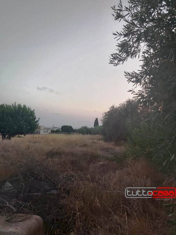 Agricultural land CONTRADA BARONE, Scicli - photo 3