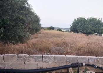 Agricultural land CONTRADA BARONE, Scicli - photo 4