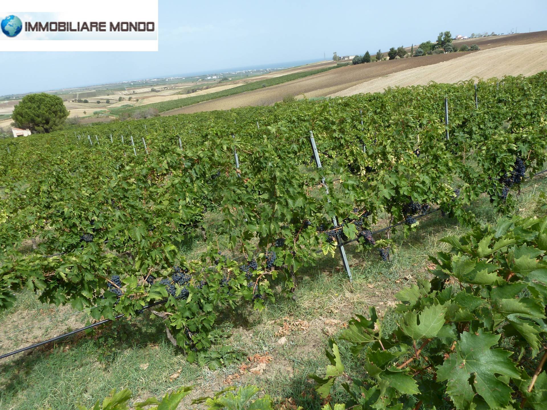 Terreno agricolo Portocannone - foto 2