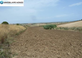 Terreno agricolo Portocannone - foto 10