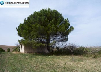 Terreno agricolo Portocannone - foto 11