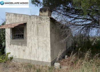 Terreno agricolo Portocannone - foto 12