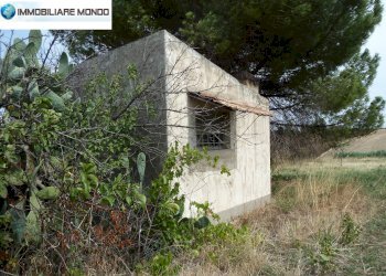 Terreno agricolo Portocannone - foto 13