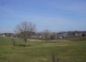 Terreno agricolo Santo Stefano Belbo - foto 3