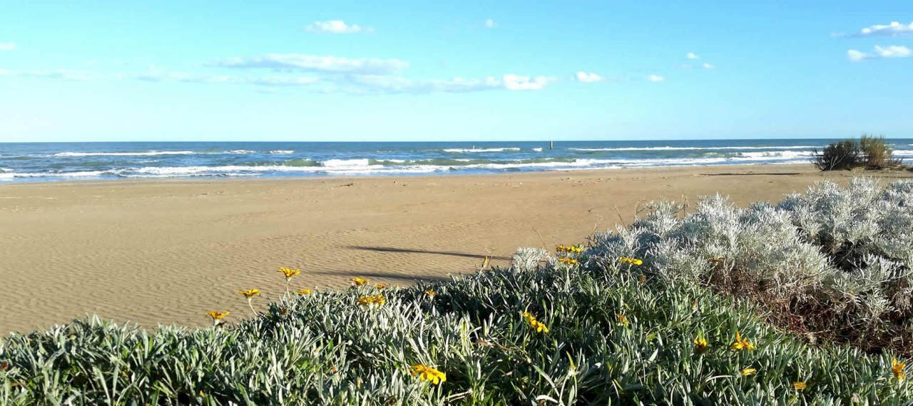 villarosa.jpg - Terreno edificabile Martinsicuro - foto 2