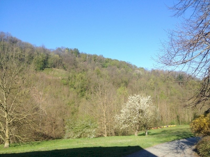 vista - Rustic Strada Comunale di Mongreno 158, Torino - photo 3