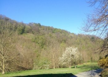 vista - Rustic Strada Comunale di Mongreno 158, Torino - photo 3