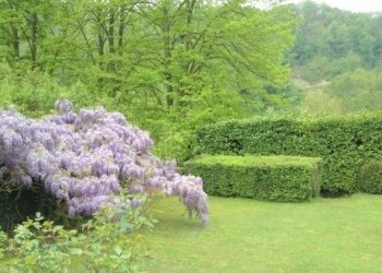 parco - Rustic Strada Comunale di Mongreno 158, Torino - photo 21