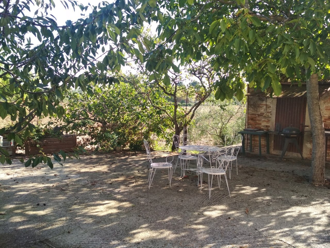 IMG_20210923_100809.jpg - Independent house Selvatorta 20, Monsano - photo 3