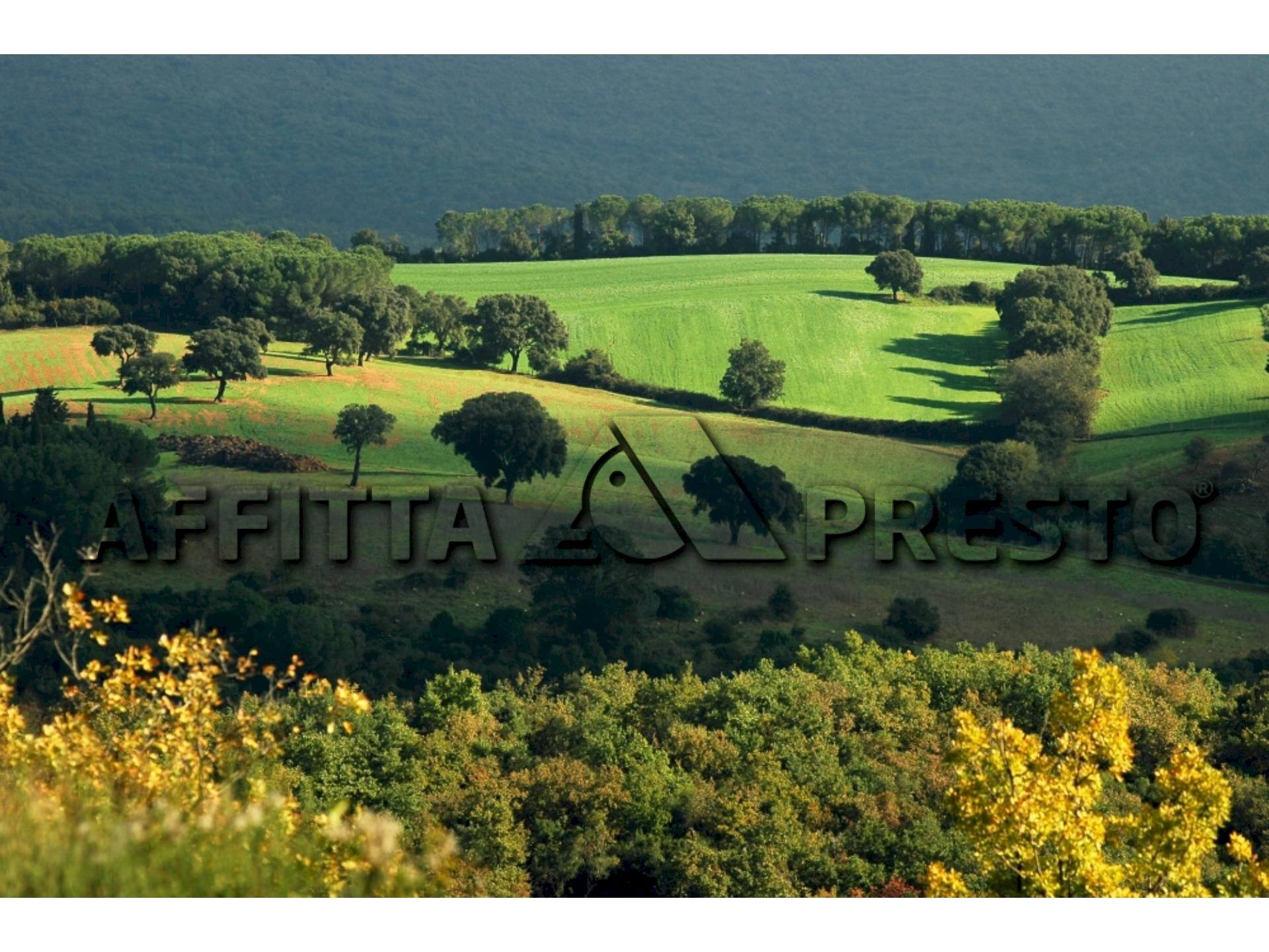 Office Collesalvetti - photo 1