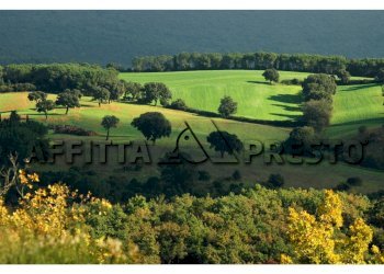 Ufficio Collesalvetti - foto 1