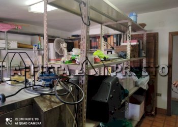 Ufficio Collesalvetti - foto 2